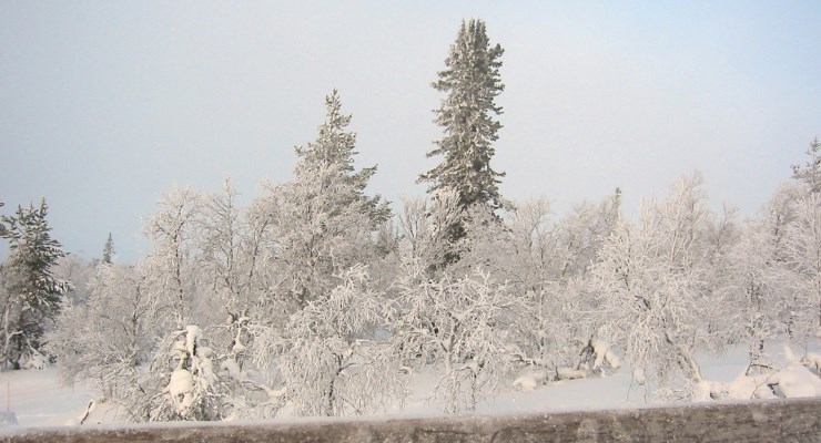 Terugblik: sneeuw, sauna’s en cider in Finland