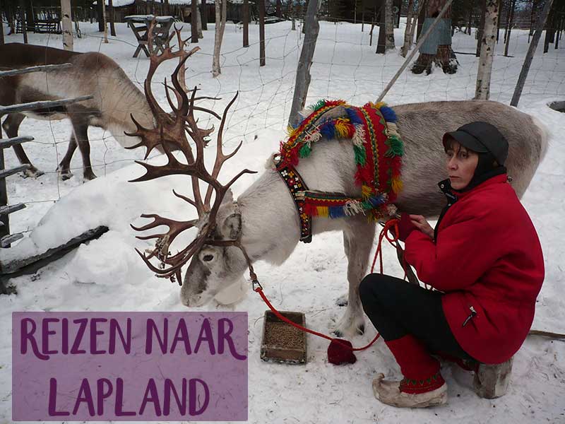 Reizen naar Lapland: sprookjesachtig mooi