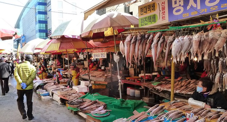 Een overvloed aan vis op de Jagalchi VisMarkt in Busan