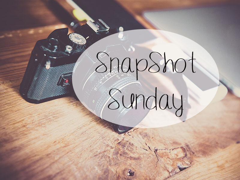 SnapShot Sunday: op zoek naar…