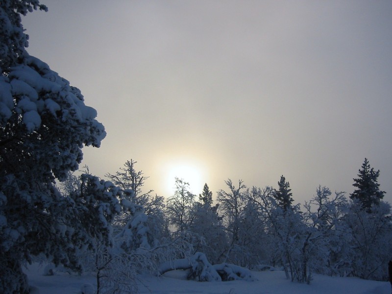 Flashback: sprookjesachtig Lapland