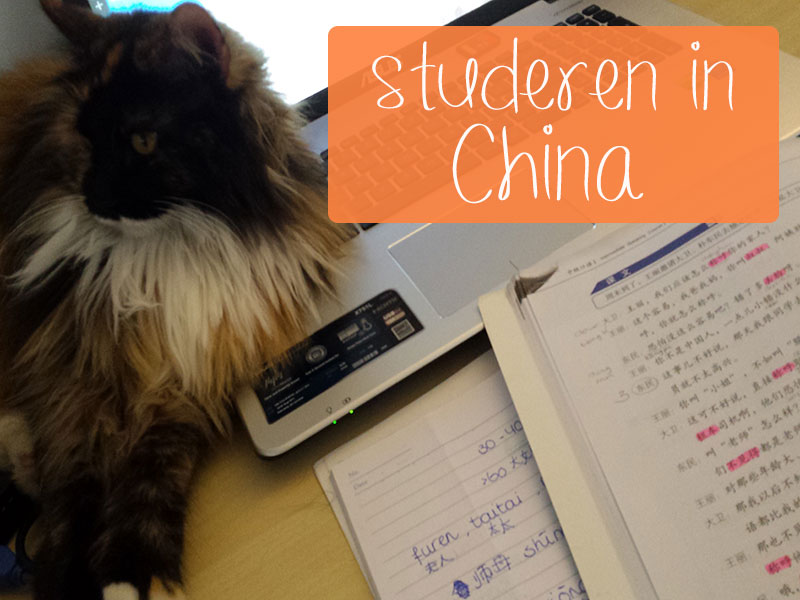 studeren in china