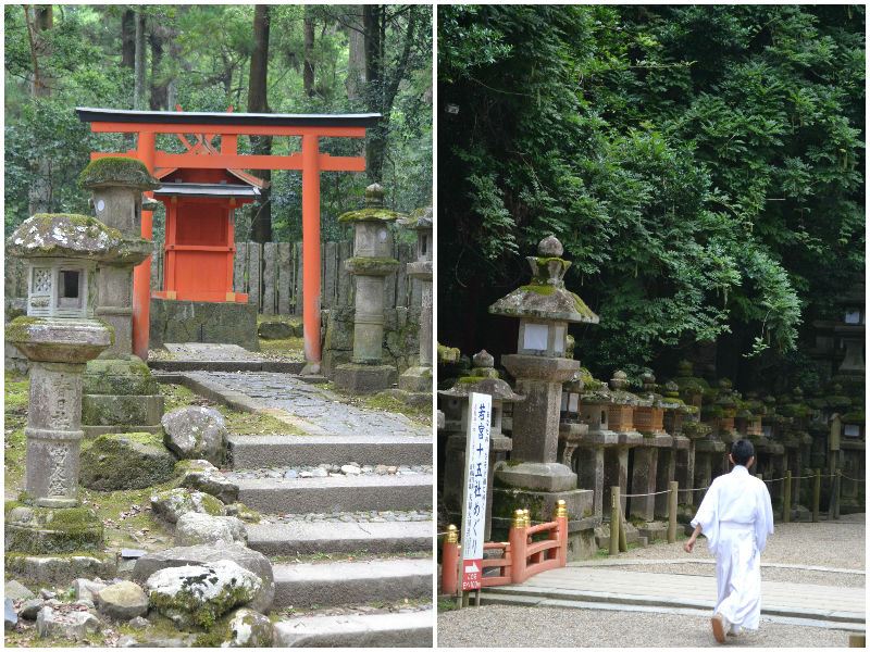 De 1200 herten van Nara en evenveel lantaarns