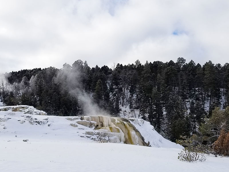 Yellowstone in winter bezoeken
